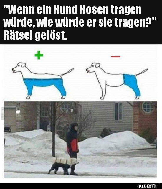 "Wenn ein Hund Hosen tragen würde, wie würde er sie.." - Lustige Bilder | DEBESTE.de