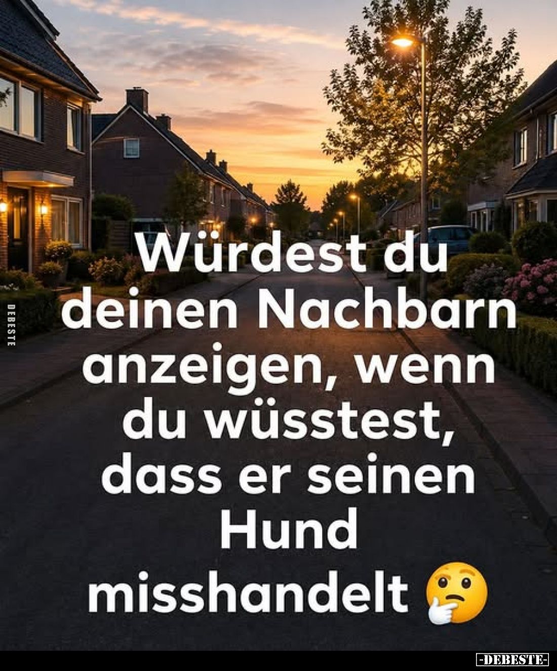 Würdest du deinen Nachbarn anzeigen, wenn du wüsstest, dass er seinen Hund misshandelt?