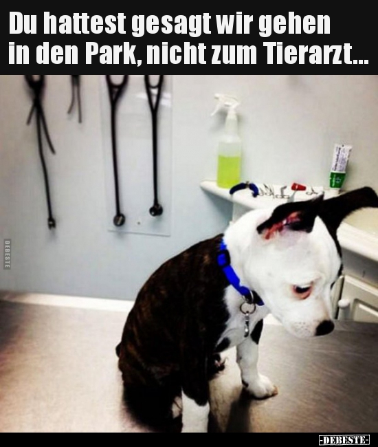 Du hattest gesagt wir gehen in den Park, nicht zum.. - Lustige Bilder | DEBESTE.de
