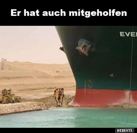 Er hat auch mitgeholfen..