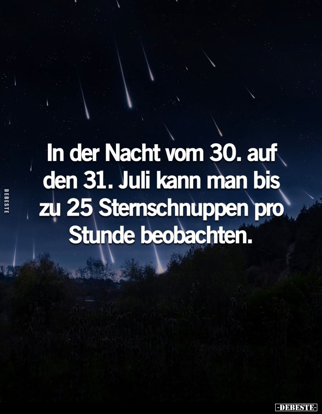 In der Nacht vom 30. auf den 31. Juli kann man bis zu 25 Sternschnuppen pro Stunde beobachten.