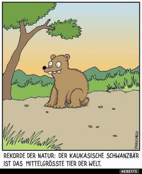 Rekorde der Natur: Der kaukasische Schwanzbär.. - Lustige Bilder | DEBESTE.de