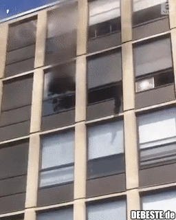 Die Katze springt aus dem fünften Stock eines brennenden Gebäudes und geht dann weg, als wäre nichts passiert. - Lustige Bilder | DEBESTE.de