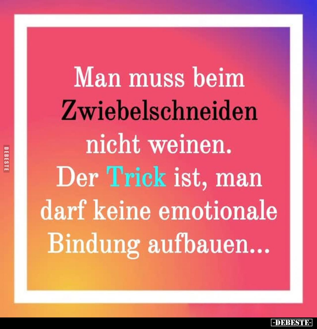 Man muss beim Zwiebelschneiden nicht weinen. Der Trick ist, man darf keine emotionale Bindung aufbauen...