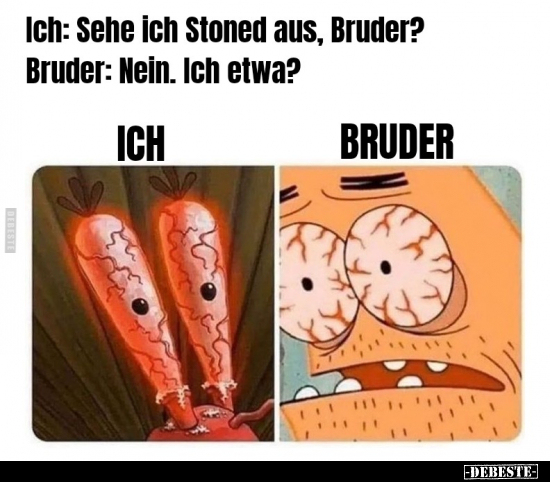 Ich: Sehe ich Stoned aus, Bruder?.. - Lustige Bilder | DEBESTE.de