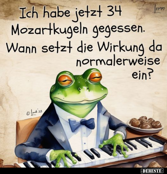 Ich habe jetzt 34 Mozartkugeln gegessen.. - Lustige Bilder | DEBESTE.de