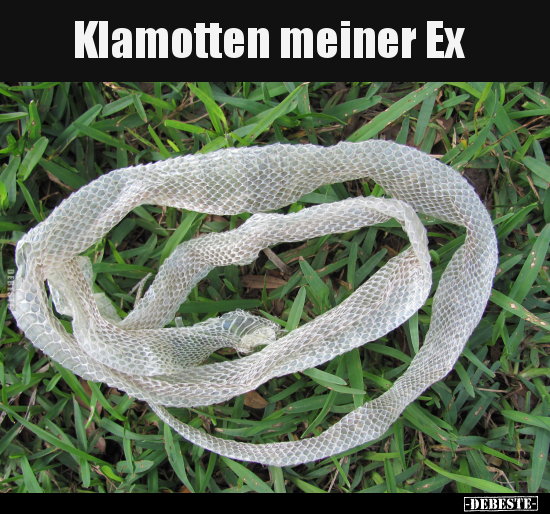 
Klamotten meiner Ex
 - Lustige Bilder | DEBESTE.de