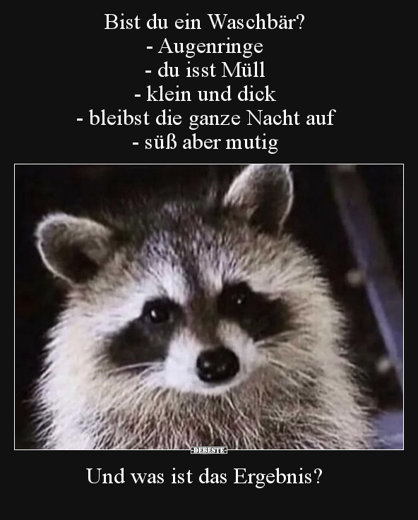 Bist du ein Waschbär? - Augenringe - du isst Müll.. - Lustige Bilder | DEBESTE.de
