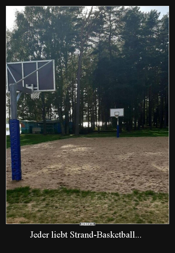 Jeder liebt Strand-Basketball... - Lustige Bilder | DEBESTE.de