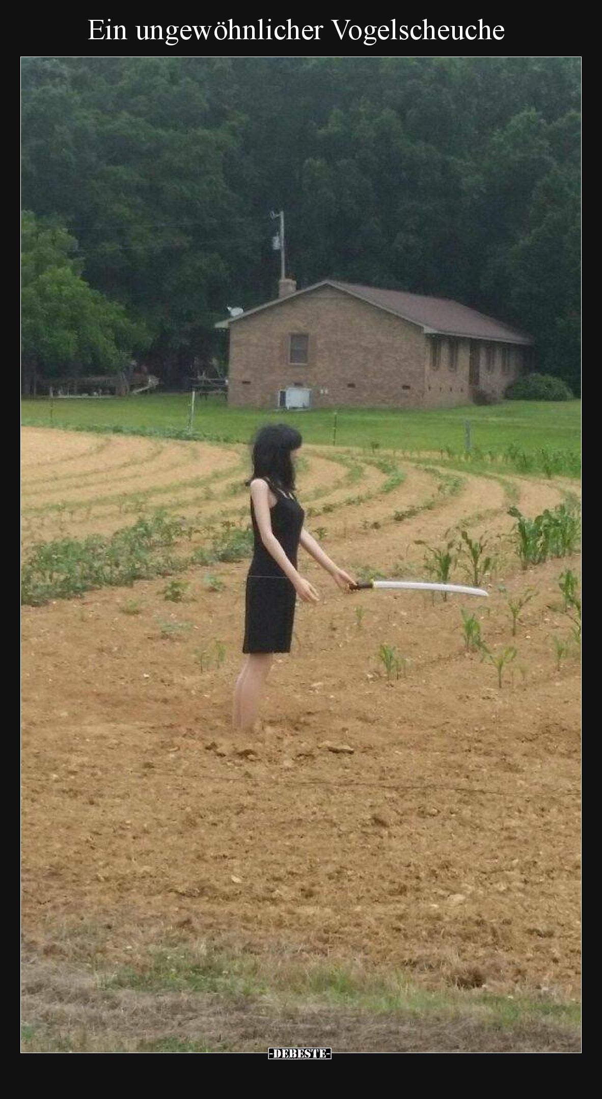 Ein ungewöhnlicher Vogelscheuche
