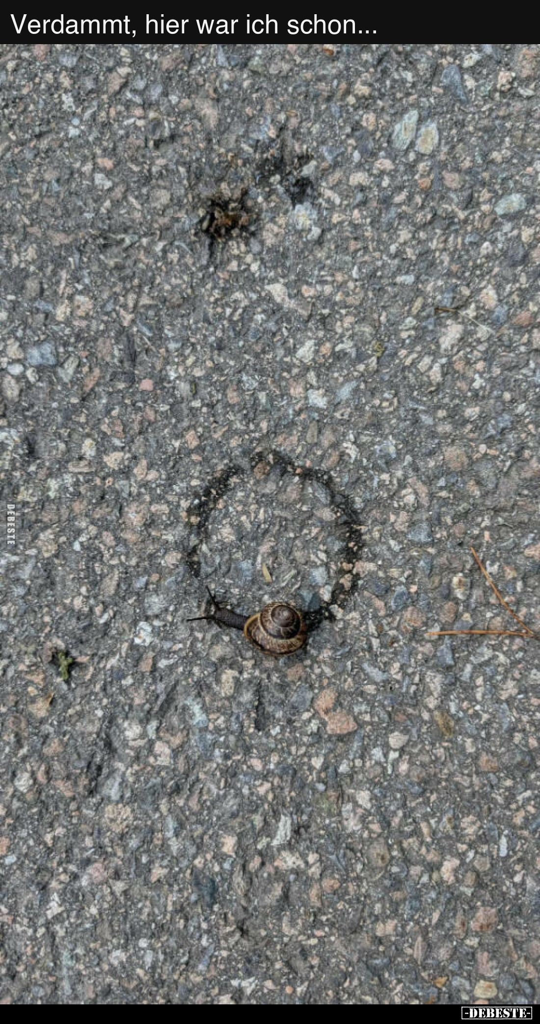 Verdammt, hier war ich schon...