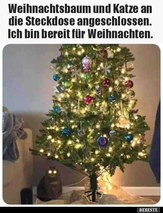 Weihnachtsbaum und Katze an die Steckdose.. - Lustige Bilder | DEBESTE.de