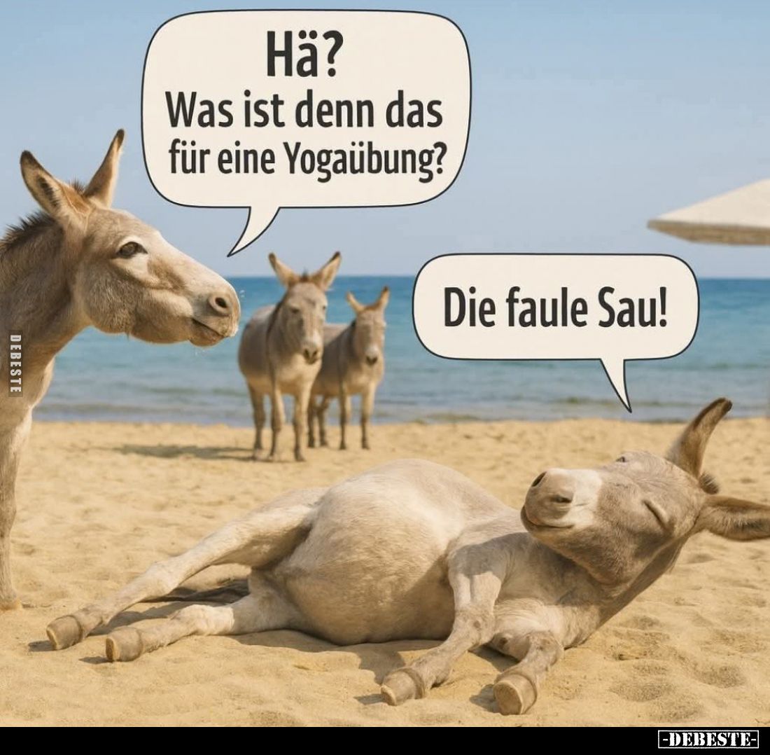 Hä? Was ist denn das für eine Yogaübung? -
Die faule Sau!