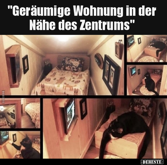 "Geräumige Wohnung in der Nähe des Zentrums"..