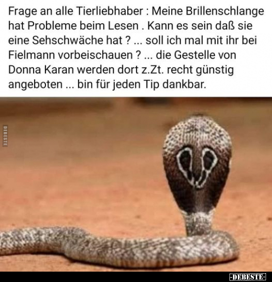 Frage an alle Tierliebhaber: Meine Brillenschlange hat.. - Lustige Bilder | DEBESTE.de