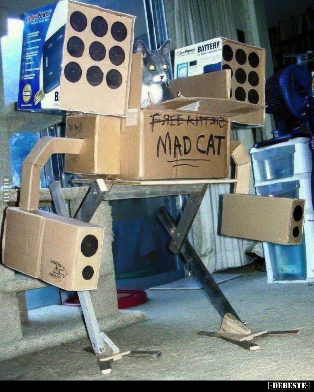 Mad Cat
