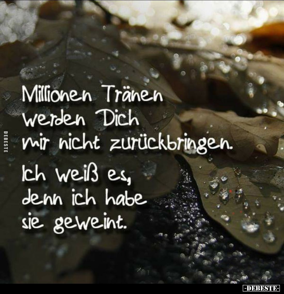 Millionen Tränen werden Dich mir nicht zurückbringen. 
Ich weiß es, denn ich habe sie geweint.