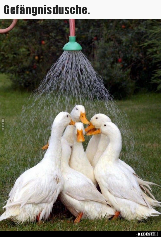Gefängnisdusche...