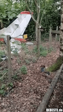 Dumm ist, wer Dummes tut...