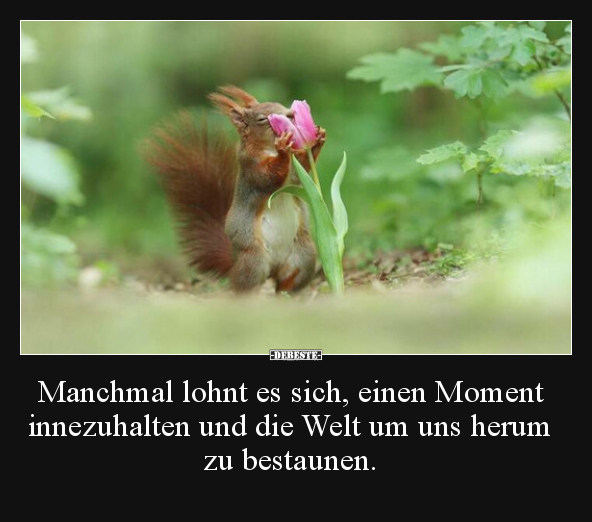 Manchmal lohnt es sich, einen Moment innezuhalten und die.. - Lustige Bilder | DEBESTE.de