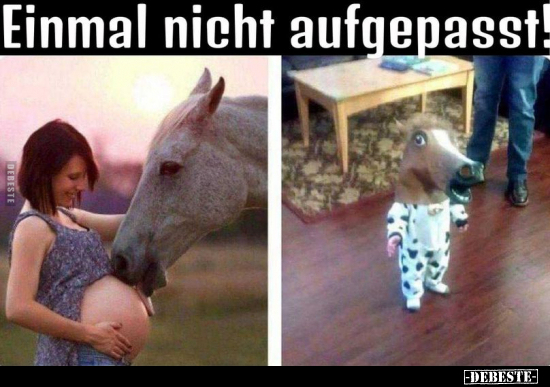 Einmal nicht aufgepasst!.. - Lustige Bilder | DEBESTE.de