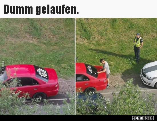 Dumm gelaufen... - Lustige Bilder | DEBESTE.de