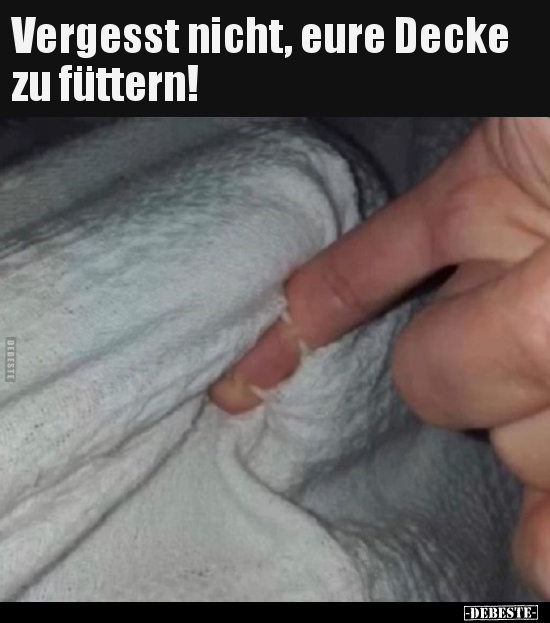 Vergesst nicht, eure Decke zu füttern!.. - Lustige Bilder | DEBESTE.de