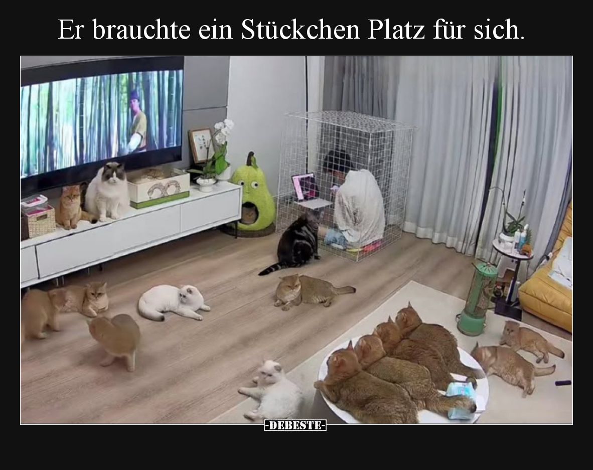 Er brauchte ein Stückchen Platz für sich.
