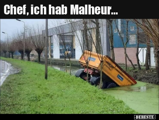 Chef, ich hab Malheur... - Lustige Bilder | DEBESTE.de