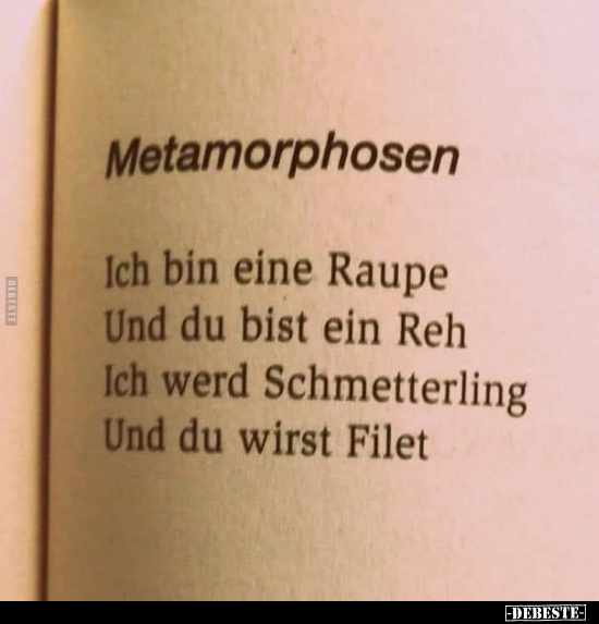 Metamorphosen. Ich bin eine Raupe.. - Lustige Bilder | DEBESTE.de
