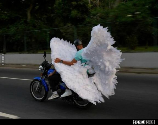  - Lustige Bilder | DEBESTE.de