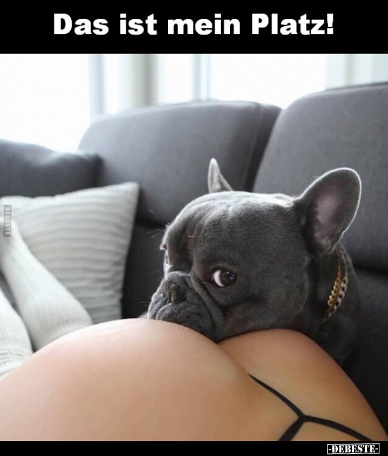 Das ist mein Platz!