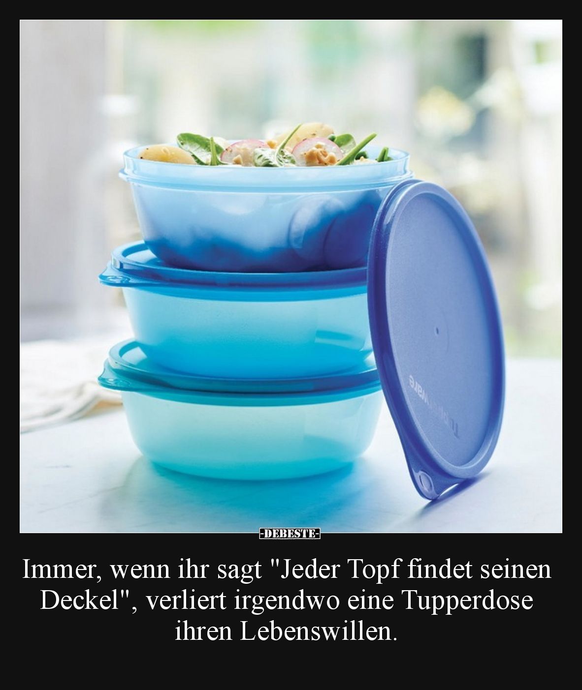 Immer, wenn ihr sagt "Jeder Topf findet seinen Deckel", verliert irgendwo eine Tupperdose ihren Lebenswillen.