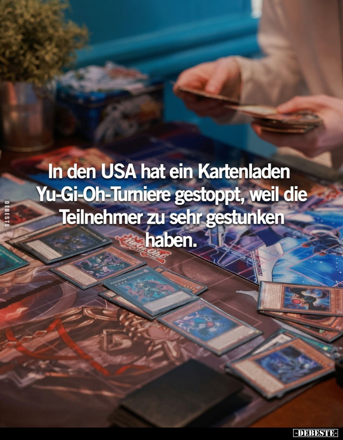 Bild