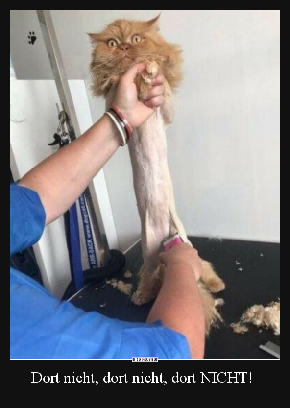 Dort nicht, dort nicht, dort NICHT!