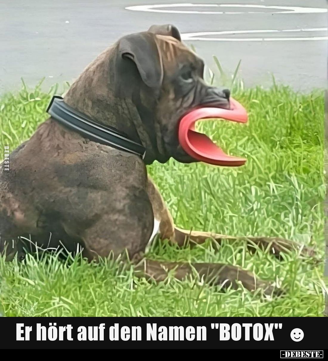 Er hört auf den Namen "BOTOX".