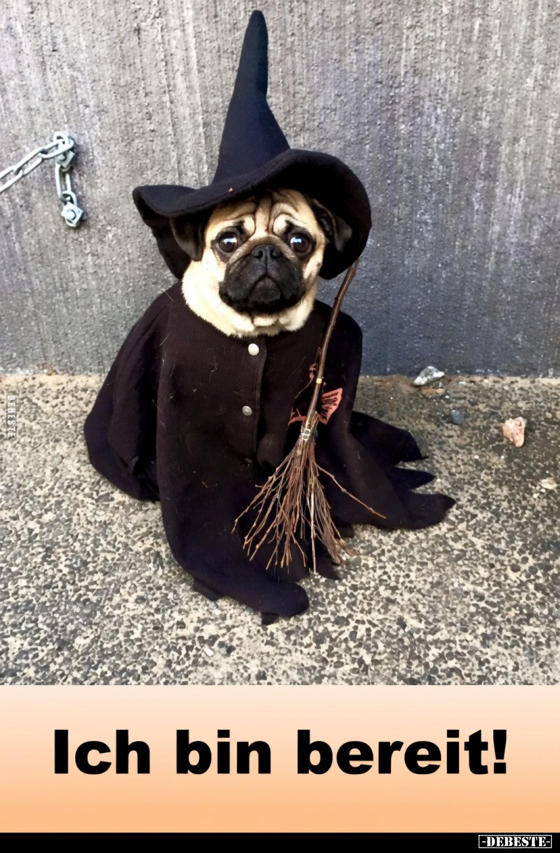 Ich bin bereit!