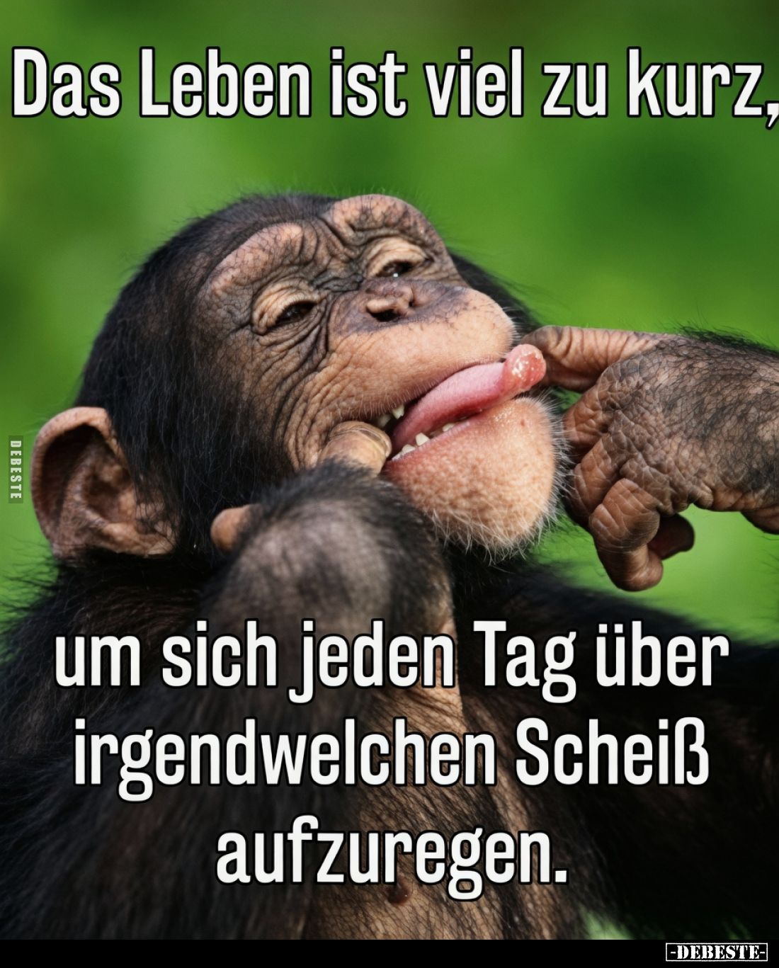 Das Leben ist viel zu kurz,

um sich jeden Tag über irgendwelchen Scheiß aufzuregen.