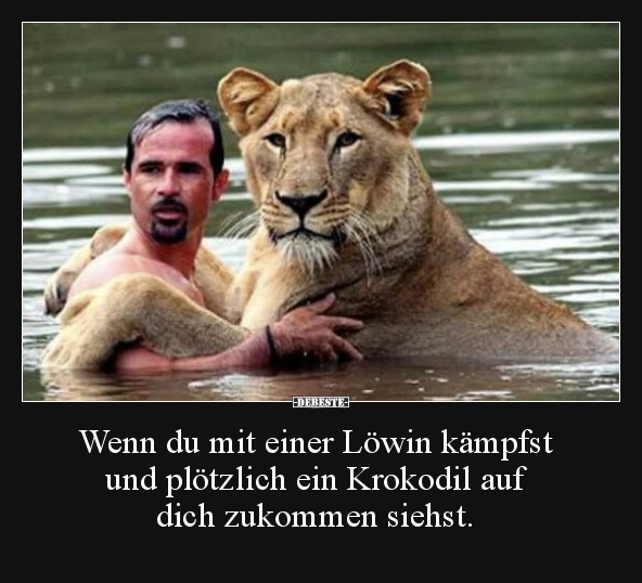 Wenn du mit einer Löwin kämpfst und plötzlich ein.. - Lustige Bilder | DEBESTE.de