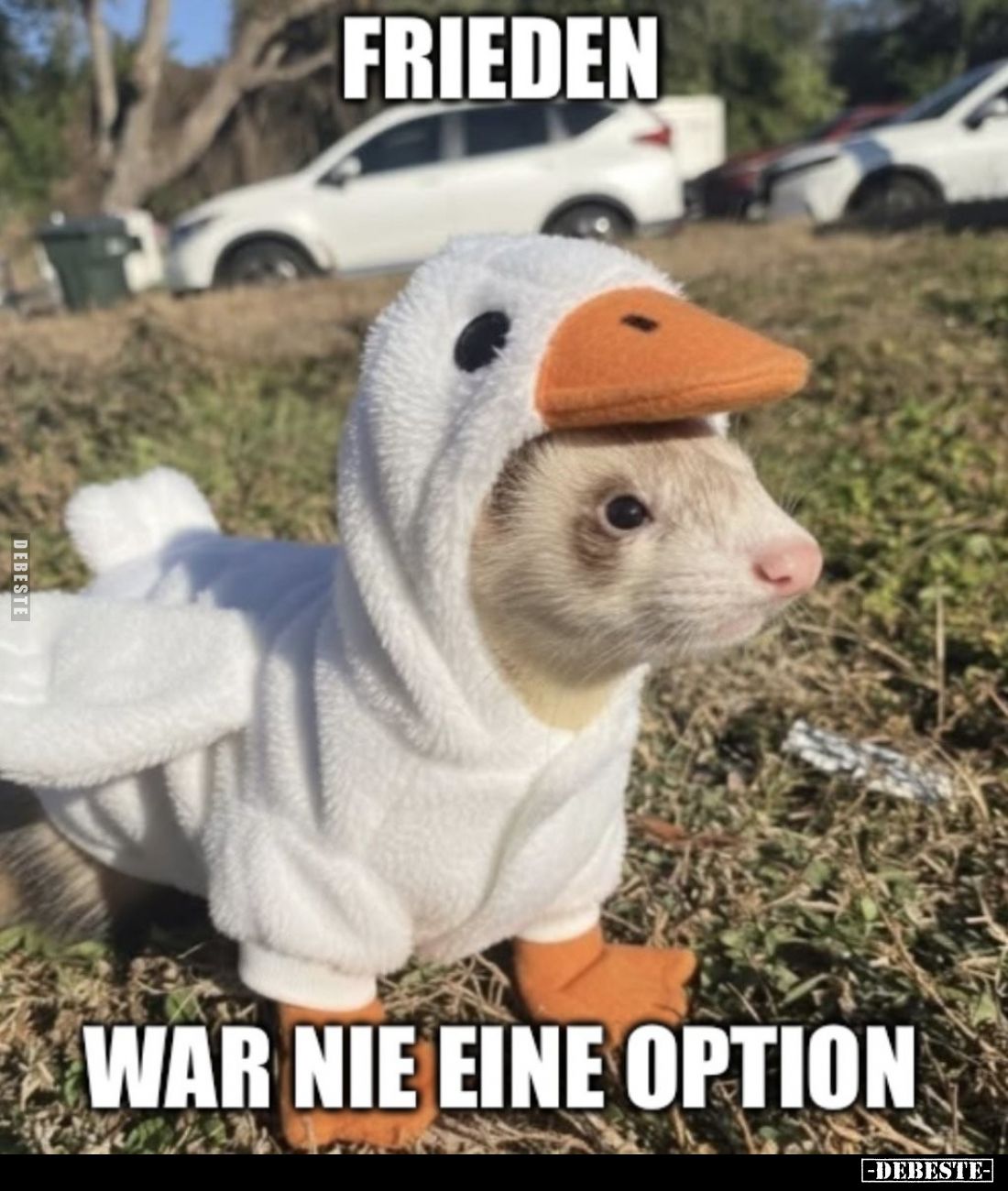 Frieden
war nie eine Option.