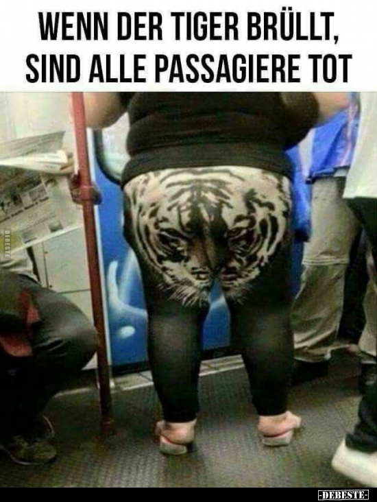 Wenn der Tiger brüllt, sind alle Passagiere tot.. - Lustige Bilder | DEBESTE.de