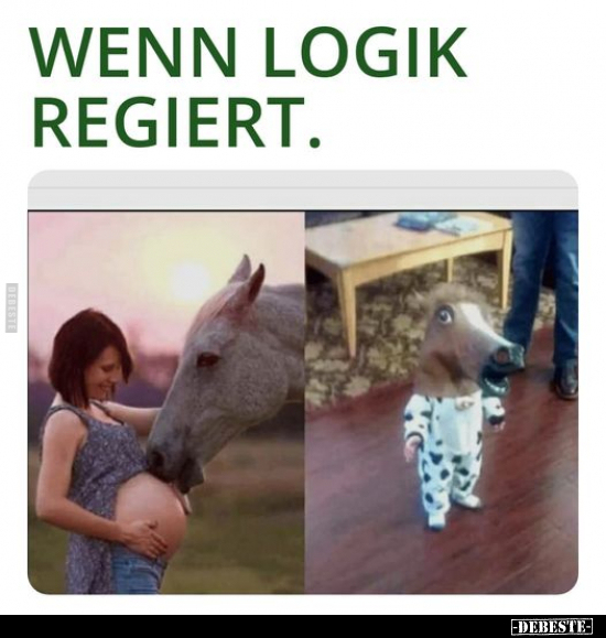 Wenn Logik regiert... - Lustige Bilder | DEBESTE.de