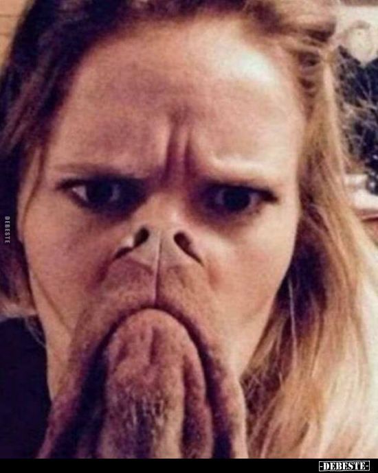  - Lustige Bilder | DEBESTE.de