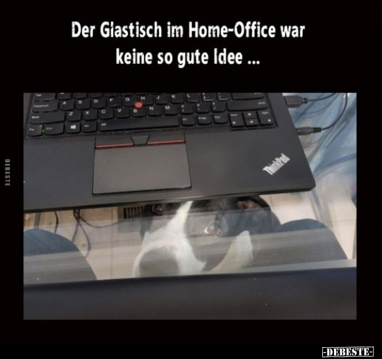 Der Glastisch im Home-Office war keine so gute Idee... - Lustige Bilder | DEBESTE.de