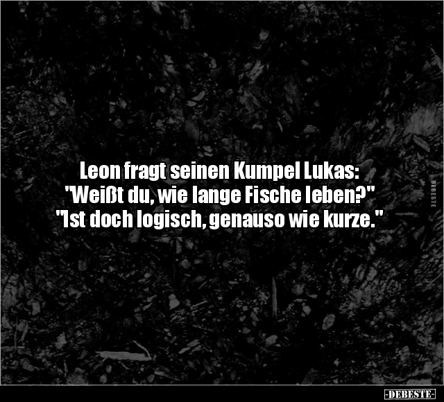Leon fragt seinen Kumpel Lukas:.. - Lustige Bilder | DEBESTE.de