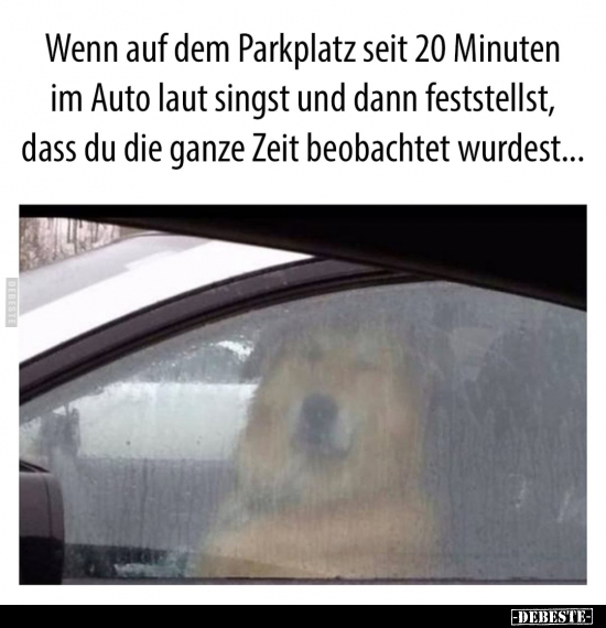 Wenn auf dem Parkplatz seit 20 Minuten im Auto laut singst.. - Lustige Bilder | DEBESTE.de