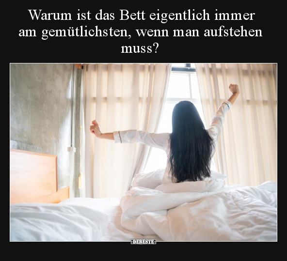 Warum ist das Bett eigentlich immer am gemütlichsten.. - Lustige Bilder | DEBESTE.de