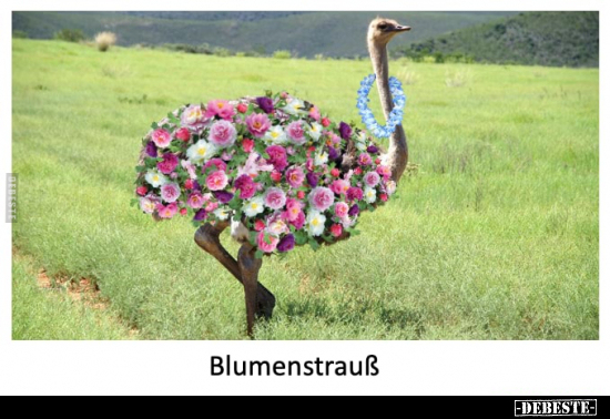 Blumenstrauß.. - Lustige Bilder | DEBESTE.de