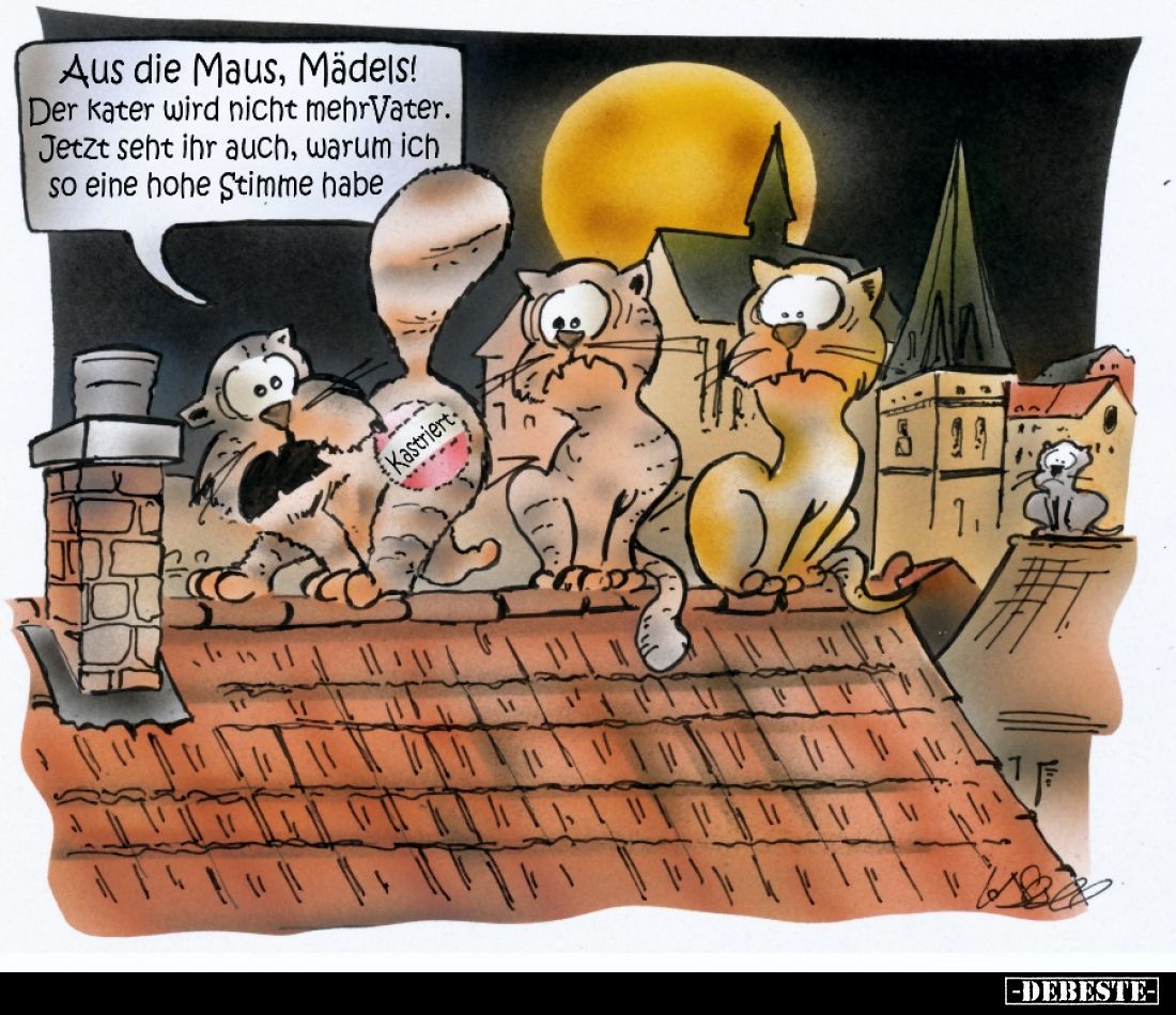 Aus die Maus, Mädels!
Der Kater wird nicht mehr Vater. Jetzt seht ihr auch, warum ich so eine hohe Stimme habe.