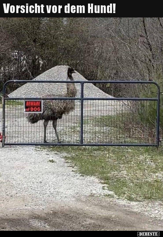Vorsicht vor dem Hund!